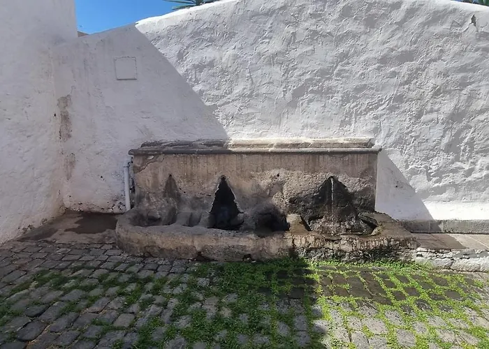 Teide Y Mar En Icod De Vinos * Icod De Los Vinos